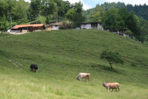 Agriturismo Alpe Lincee